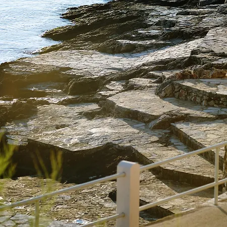 Fontana 2* 젤사