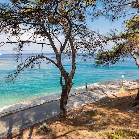 Fontana イェルサ